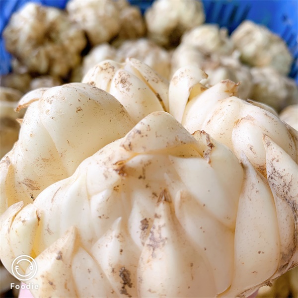 新鮮百合 新鮮百合