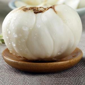 1684717718296308.jpg u=1558652441,3250290468&fm=26&gp=0.jpg